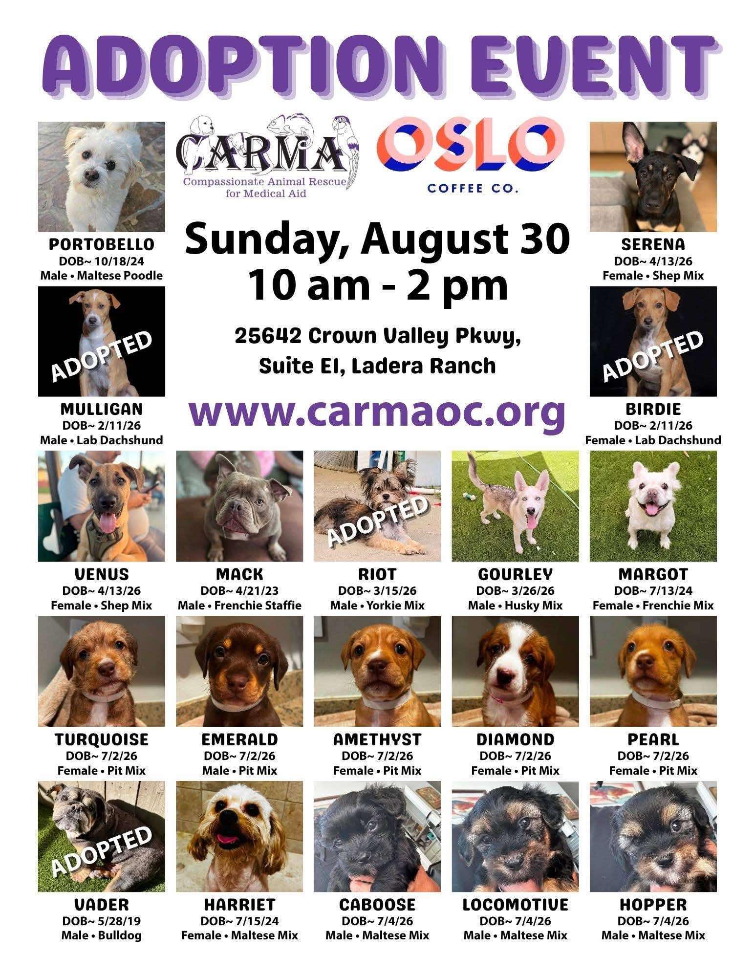 Meet Your New Best Friend at Ladera Ranch’s Upcoming Dog Adoption Event event flyer